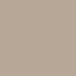 Solid light gray color swatch