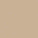 Solid beige color swatch