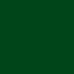 Solid green color swatch