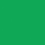 Solid green color swatch