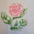 Camellia Beauty Machine Embroidered Square