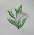 Snowdrop Beauty Machine Embroidered Square